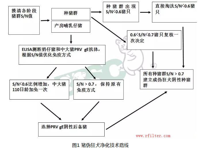 規(guī)模豬場如何凈化控制疫病？空氣過濾系統(tǒng)如何阻擋藍耳病毒株呢？